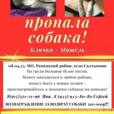 Поиск продолжается! ‼Вознаграж...