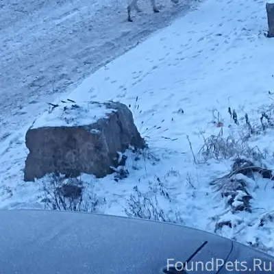 Доброе утро! У станции Воронок...