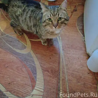 В подъезде дома 4 по ул...