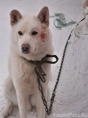 ❗️Внимание ❗️ Краснотурьинск ,...