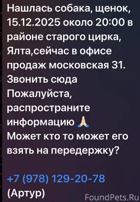 Найден щенок, помогите распрос...