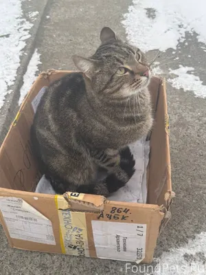 НОВОДВИНСК!! Друзья, прошу ВАШ...