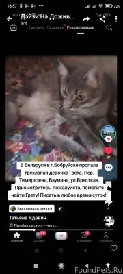 Бобруйск. В районе пер.Тимиряз...