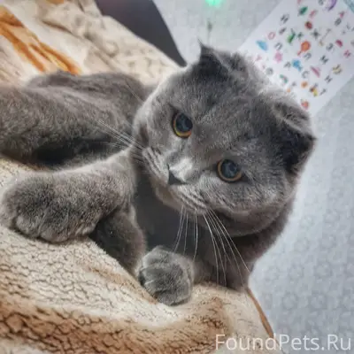 Пожалуйста выложите. Не аноним...