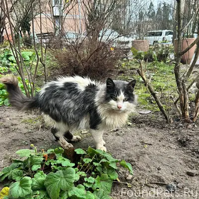 Доброго времени всем,прошу вас...