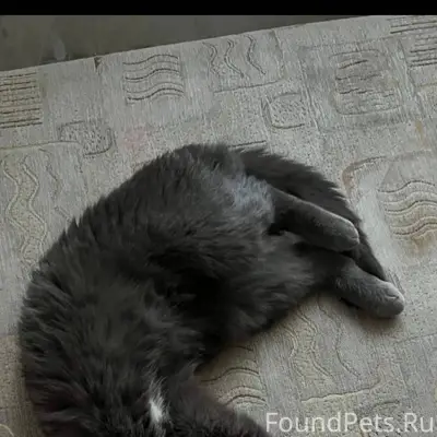 #Бгдпомоги #Богданович Пропала...