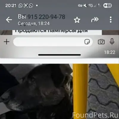 Добрый вечер! Собака Бим уезал...