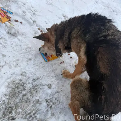 Друзья, очень нужна ваша помощ...
