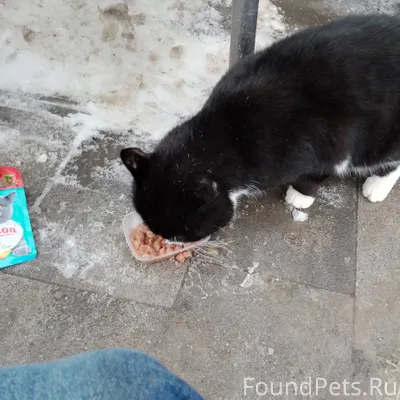 На улице появился вот такой ши...