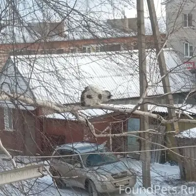 На улице Жукова 2 с субботы...