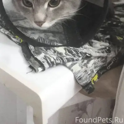 16.12.25 в райне ул...