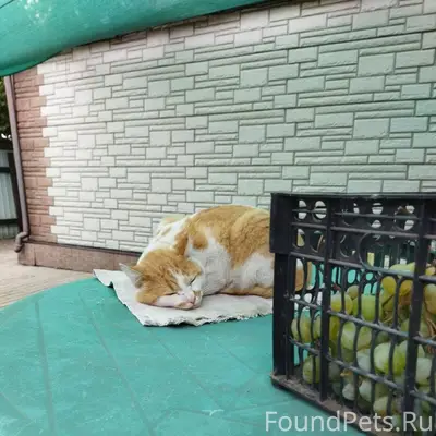 Прошу помощи!!! Макеевка, Горн...