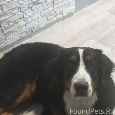 ❗❗❗СРОЧНО Прошу максимальный р...