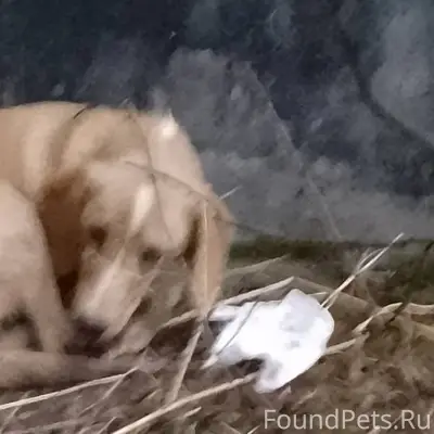 Помогаю информационно .Найдена...