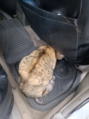 Срочный 🆘🆘😭😭😭 Сегодня на 40 ле...