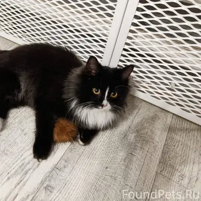 Волгоград Красноармейский райо...