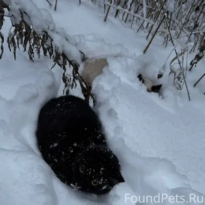 ‼️‼️Срочно нужен дом или перед...