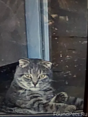 Г Михайловск район вила тера ,...