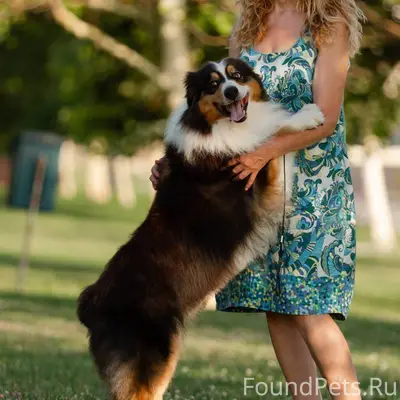 Всем здравствуйте !!! Максимал...