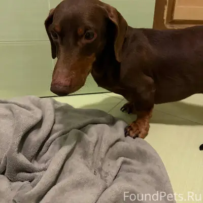 18 декабря в 9 утра была...