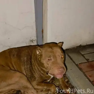 Добрый день. Срочно ‼️ 🚨 прошу...