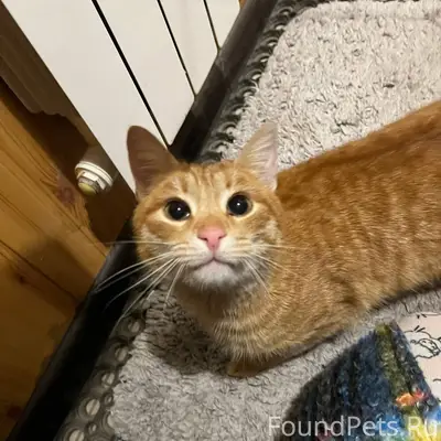 Егорьевск! В районе Заболотья ...