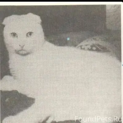 Знакомтесь, это Сьюзи, первая ...