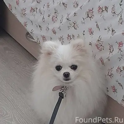 На цыганском поселке, улица Бе...