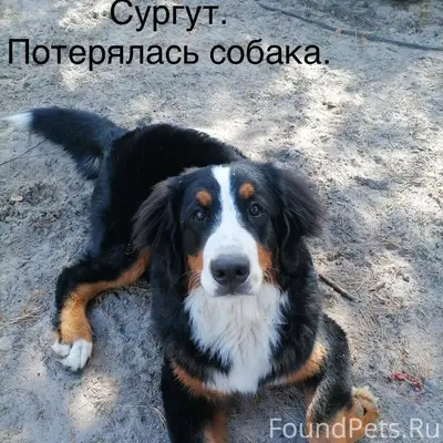 ❗️❗️❗️Репост пожалуйста❗️❗️❗️ ...