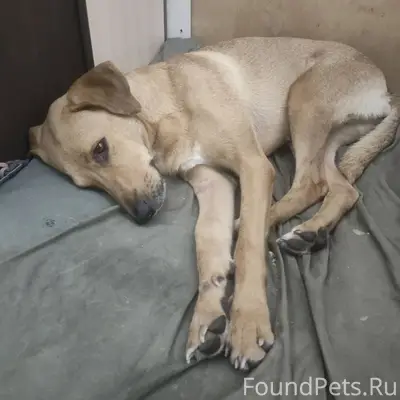 Здравствуйте! В конце сентября...