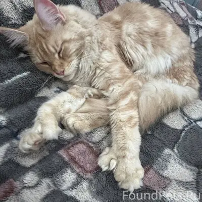 Доброе утро, всем! В частный д...