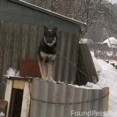 ‼️Помогаю информационно ‼️ Про...