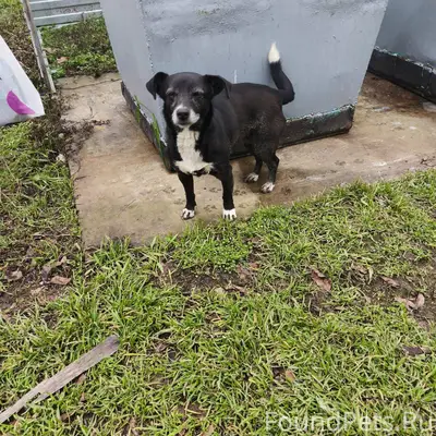 Здравствуйте! У кого потерялся...