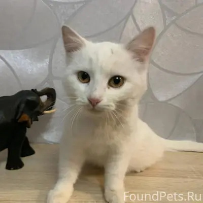 В районе банка ВТБ найдена бел...