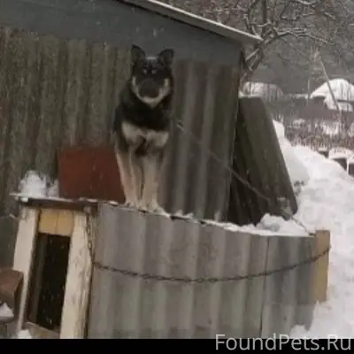 ‼СРОЧНО ️ПОМОГИТЕ ПОЖАЛУЙСТА ‼...