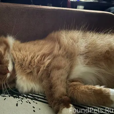 Добрый день, не могли бы вы...