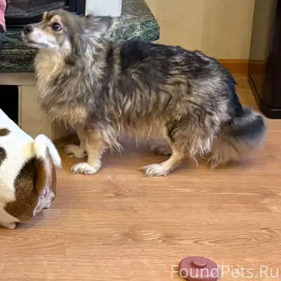 ❗️Внимание ❗️ Сегодня вечером ...