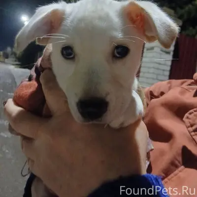 Г.Юрьев-Польский. 19 декабря в...