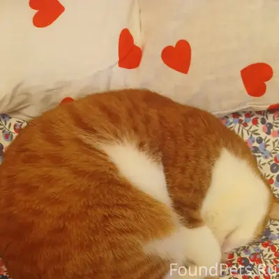 Админ пожалуйста опубликуйте!!...