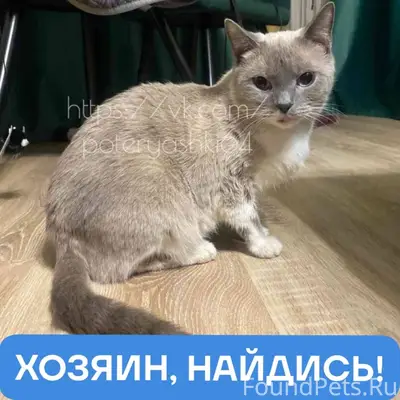 Саратов, Юбилейный, район парк...