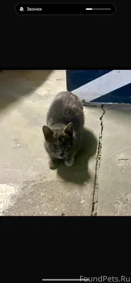 Ребят, нужна помощь по пристро...