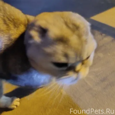 Тольятти. Добрый день. 8 декаб...