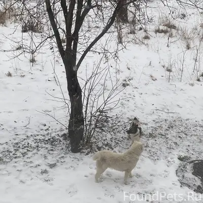 Внимание!!! От кого сбежала эт...