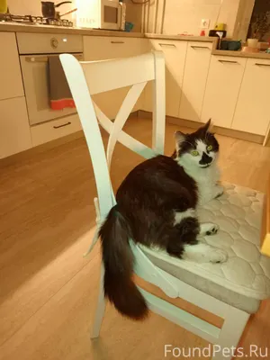 Симферополь. Прошу сделать пер...