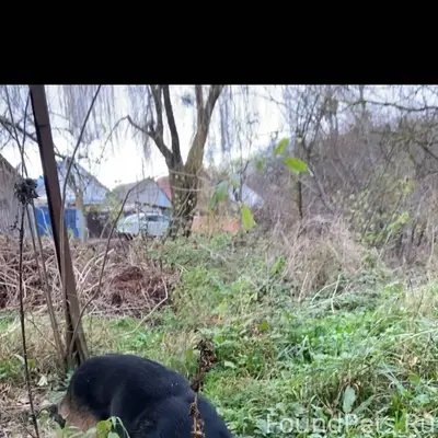 Добрый день .Вчера я шла со...