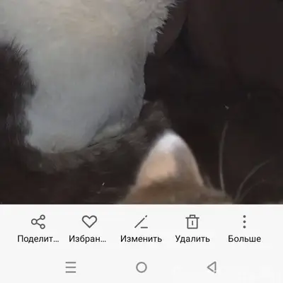 21 го ноября среди белого дня....