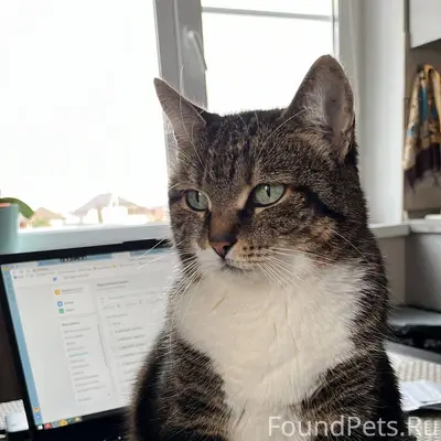 🆘⚡❗ Помогите найти ❗⚡🆘 📍Северн...