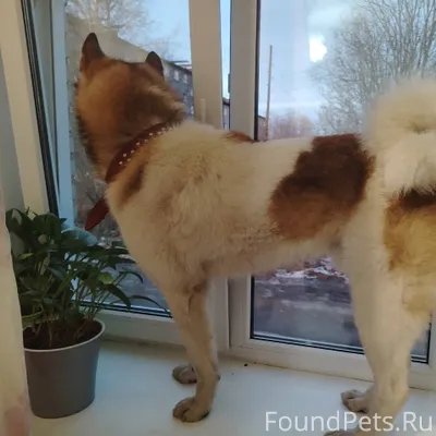 Добрый вечер! Подскажите пожал...