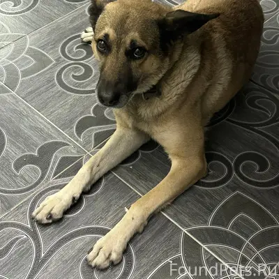 Доброго времени суток! Потерял...