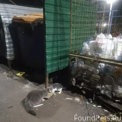 Уважаемые участники группы, хо...